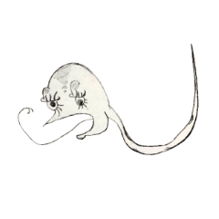 チャーマー　スタンプ