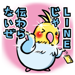 素敵トーク☆インコ兄さん ２