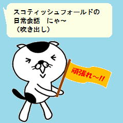 スコティッシュフォールドの日常会話