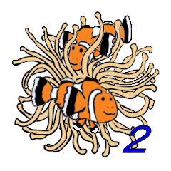 カクレクマノミの生活その２