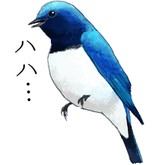 夏山の野鳥