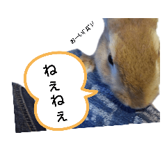 キュートもふもふスタンプ
