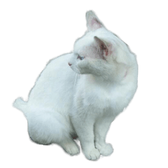 リアルアニマル感情スタンプ