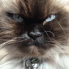 なちごろう王国