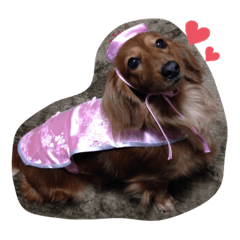 シャーリーちゃん