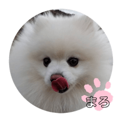 まろぷんスタンプ