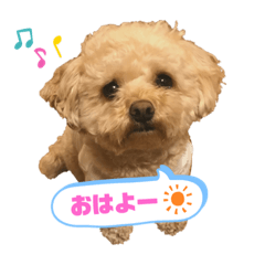 わがままティーちゃん