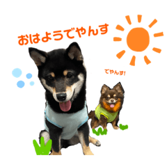 こてつとまじまのスタンプだよ