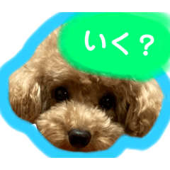 ちょんちょんの日常。