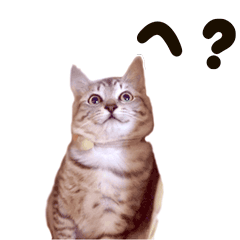 タイピー 日記スタンプ