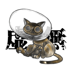 うちの子キャット