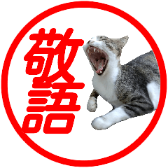 実写【ねこ】写真スタンプ 敬語バージョン
