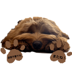 お友達♡くまおさん➁