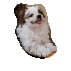 ラブ　　クッキー