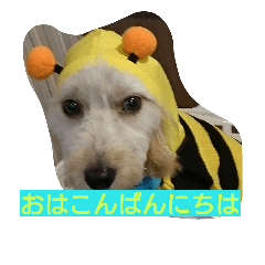 レオ丸のはんなりスタンプ