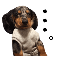 つくねのすたんぷぷ3