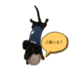 カニヘンダックスちゃん♡