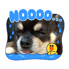 ふんふんのスタンプPart8♡