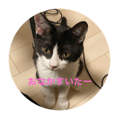 うなぎちゃんのスタンプ