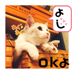 元気なこうめくん