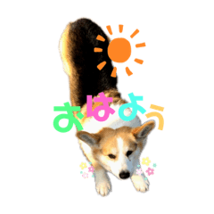 くぅちゃん♡くぅちゃん