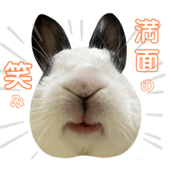 元気うさぎのこゆきくん