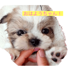 来夢君スタンプ②