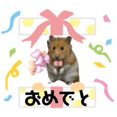 ゴルハムの日常