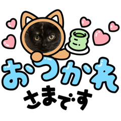 せんくんと杏ちゃん