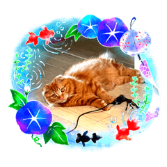 トラちゃんはもうすぐ一歳