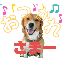 さまーちゃんすたんぷ パート1