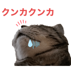 モモゾウとペコゾウ