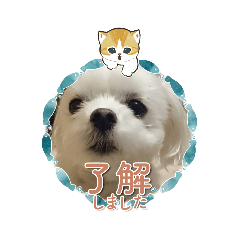 いちむーちゃん