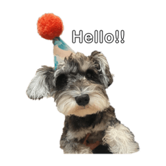 あたちの名前はゆず