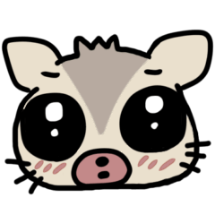 フクロモモンガ PONKICHI プラチナ