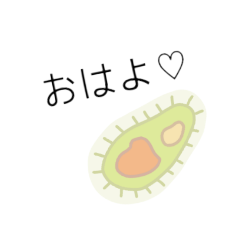 かわちいゾウリムシ