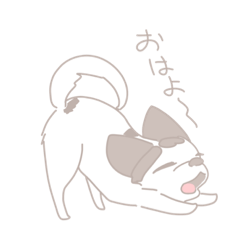 少しやんちゃなチワワさん