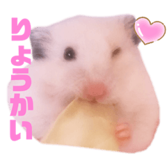 ‪‪⋈﻿りぼんちゃん‪‪⋈﻿