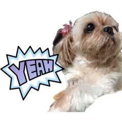 可愛いクッキーさんスタンプ