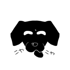黒ラブ いぬ