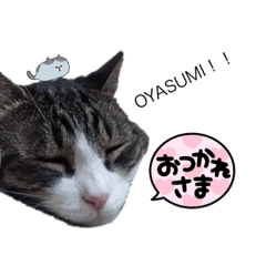 可愛いむぎのスタンプ