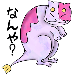 ネコ背 と 足クマせ