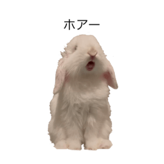 実写版でふくザ・ムービー