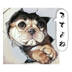 となりのパグ次郎