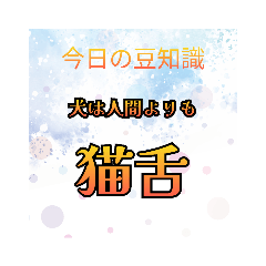 今日の豆知識ー動物編