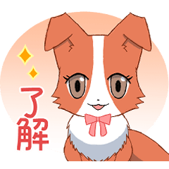 飛び出す！おしゃれボーダーコリー1