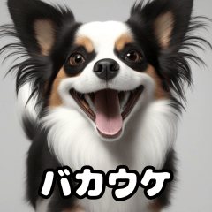 昭和死語なパピヨン