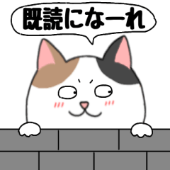 ネコのみけちゃん3