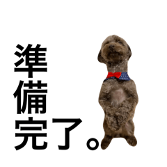 ポメプーのくうのスタンプ4