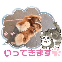 チロルチョコ 外出